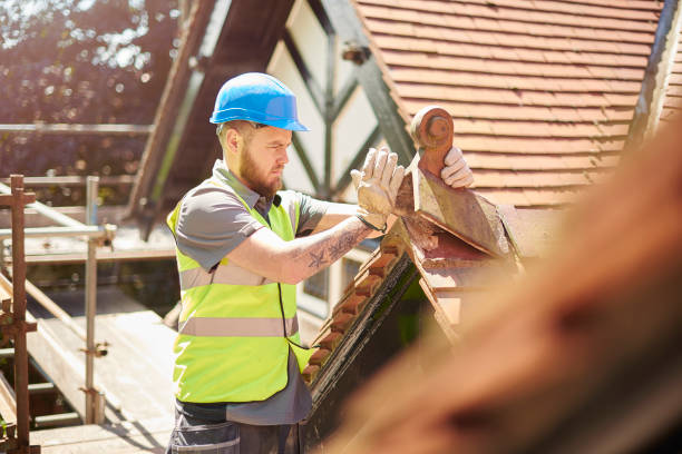 Best Storm Damage Roof Repair  in Wilson, PA